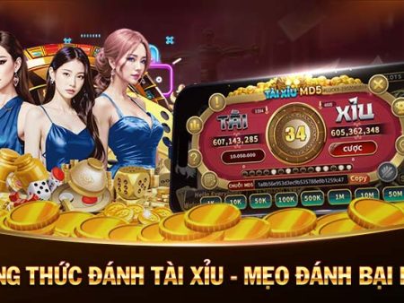 casino slot vnloto online casino 🎰 with bitcoin